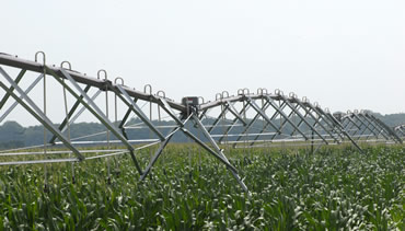 irrigation